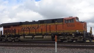 Railfaning SoCal Trip February 2017 Feat Herzog tie train, UP, BNSF, Amtrak and MORE