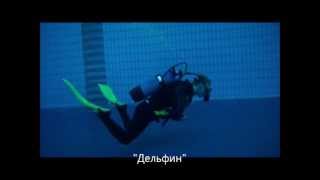 Обзор Пилотажа и Продвинутого Пилотажа в дайвинге