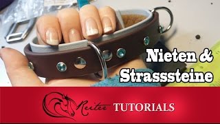Nieten und Strasssteine befestigen // Reitertutorials
