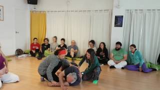 Módulo de Escuela: Definición de Biodanza y Modelo Teórico