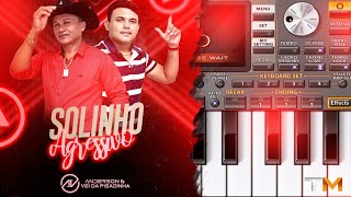 KIT ANDERSON E VEI DA PISADINHA - PARA ORG 2020 / Atualizado