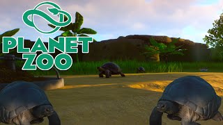 Planet Zoo ★Herausforderung #2★ - Baby Schildkröten!