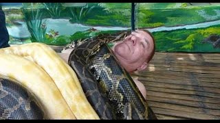 10 Самых Жутких Нападений Змей на Человека