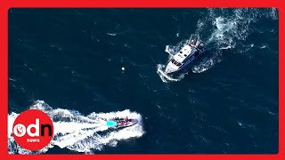 The HUNT for Sydney's KILLER Great White Shark