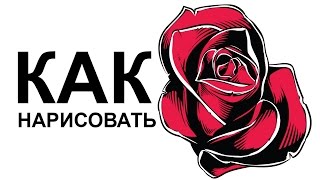 Как нарисовать розу поэтапно для начинающих
