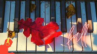 Cristi Duca-Fall