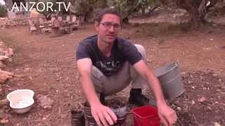 МАЛЬТА: What is GMO FOOD... Genetically Modified Organism... Malta
