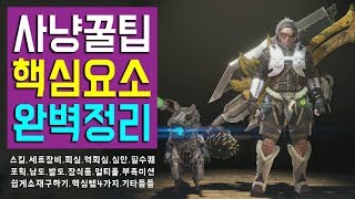 몬스터 헌터 월드 공략 끝판왕 - 편하게 몬헌 입문 가자!