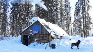 Четыре дня в тайге. Лесная изба. Рыбалка. Таёжный быт