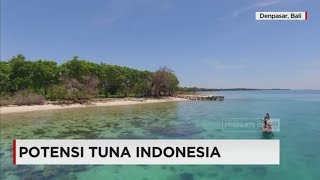 Potensi Luar Biasa Tuna Indonesia