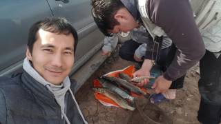 Рыбалка 28-30 апреля 2017