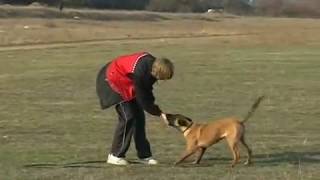 Первые шаги в послушании (часть-2) "The first lessons of obedience"-2