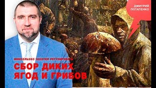 «Потапенко будит!», Минсельхоз захотел регулировать сбор диких ягод и грибов