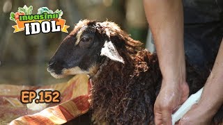 เกษตรไทยไอดอล | EP.152 ตอน สวนแก้วกมล | 14 ธ.ค.61