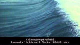 Aflati cine sunteti cu adevărat