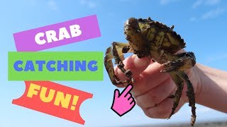 FUN - crab catching - Awesome day at the beach with family