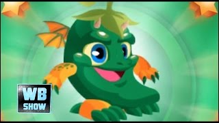 Dragon City: Panda Island - Padron Dragon!