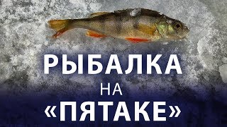 РЫБАЛКА НА "ПЯТАКЕ"/БЕЗМОТЫЛКА