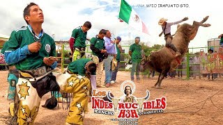 ¡¡SE VISTIERON DE VERDE LOS INDESTRUCTIBLES Y LOS JINETES!! APOYANDO A LA SELECCIÓN MEXICANA