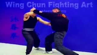 Wing Chun kung fu - Fight Art Lesson 2