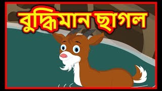 বুদ্ধিমান ছাগল | Bangla Cartoon For Kids | Panchatantra Moral Stories For Children | Chiku TV Bangla