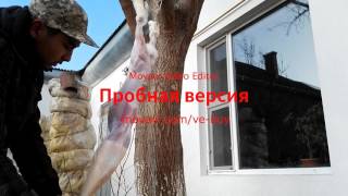 Забой кроликов(разделка кролика)версия 2