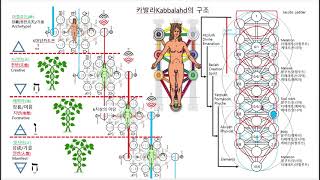 요한복음 강론 022 - 바람이 임의로 불매 네가 그 소리를 들어도 어디서 오며 어디로 가는지 알지 못하나니 성령으로 난 사람은 다 이러하니라