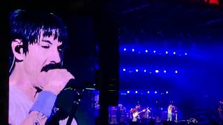 Red Hot Chili Peppers + Eddie Vedder "Just What I Needed" (The Cars cover) Ohana Fest 2019