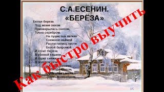 Как быстро выучить стих БЕРЁЗА С.А. Есенин