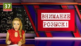Налог под фотофиксацией.  Главные новости Беларуси. ПАРОДИЯ. 18-ый выпуск.