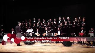Yıldız akşamdan doğarsın - YOZGAT
