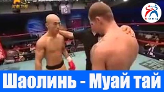 Шаолинь vs Муай тай. Бой на профессиональном ринге.