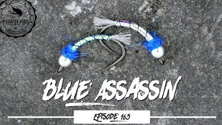 Tying the Blue Assassin Trout Fly Pattern - Ep165 PF #PiscatorFlies