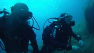 Open Water Diver