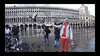 Венеция. Площадь Святого Марка. Мост Риальто. Падающая башня. Quinta Parte.