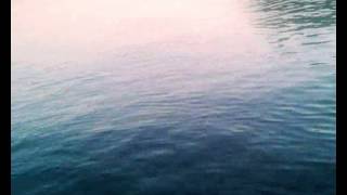 Ψάρεμα λούτσου με spinning