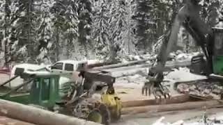 Гусянки для форвардера т89210169000