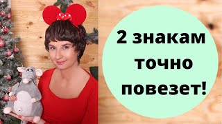 Китайский Новый год 25 января 2020. Прогноз. 2 ЗНАКАМ ТОЧНО ПОВЕЗЕТ! 2020 год Крысы. Гадание онлайн