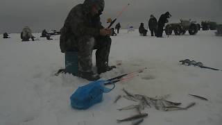 БревенникКонвеер,Отдых и рыбалка Белое море,р он Пурома