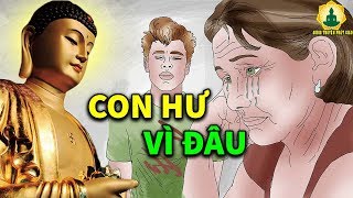 Kể Truyện Đêm Khuya, TẠI SAO Bố Mẹ Hiền Lành Sinh Con Hư Hỏng Phá Phách Cuộc Đời Sao Quá Đắng Cay