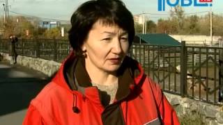 В челябинском зоопарке родился «хрюкающий бык»