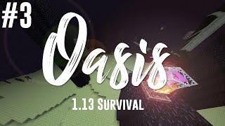 Oasis 1.13 Survival #3 - Ender Dragon Fight!