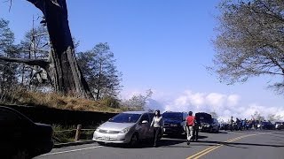 幸福旅團-台灣美景騎跡~ 新中橫-塔塔加 機車之旅