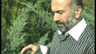 Cemal Kuru - Anam