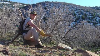 OLD SHED HUNTING FOOTAGE | GIANT 5X5