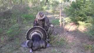 Turkey Hunting Spokane WA #22