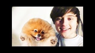 ИВАНГАЙ -  КУМА ВЕРНУЛАСЬ !! НОВОЕ ВИДЕО КАНАЛ ИВАНГАЯ