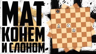 Урок 11. Мат конем и слоном. Мат 2 конями. Ферзь vs ладья.Шахматы.