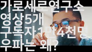 김세의기자 가로세로연구소 분석 왜 우파채널들은 매우 빠르게 성장하는가?