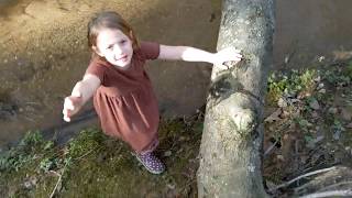 Little girls adventure in the woods. Her lost brother.